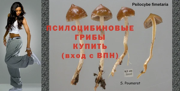 Альфа ПВП Осинники