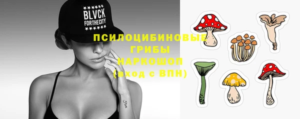 Альфа ПВП Осинники