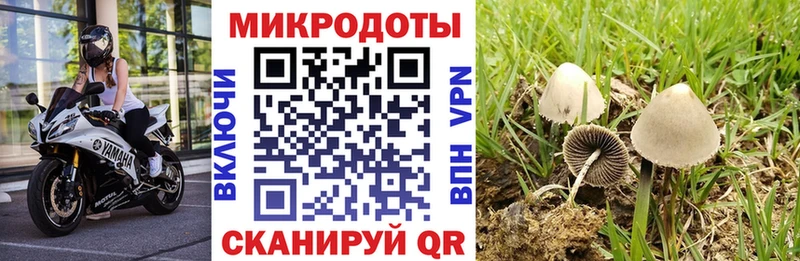 наркота  маркетплейс клад  Псилоцибиновые грибы MAGIC MUSHROOMS  Сланцы 